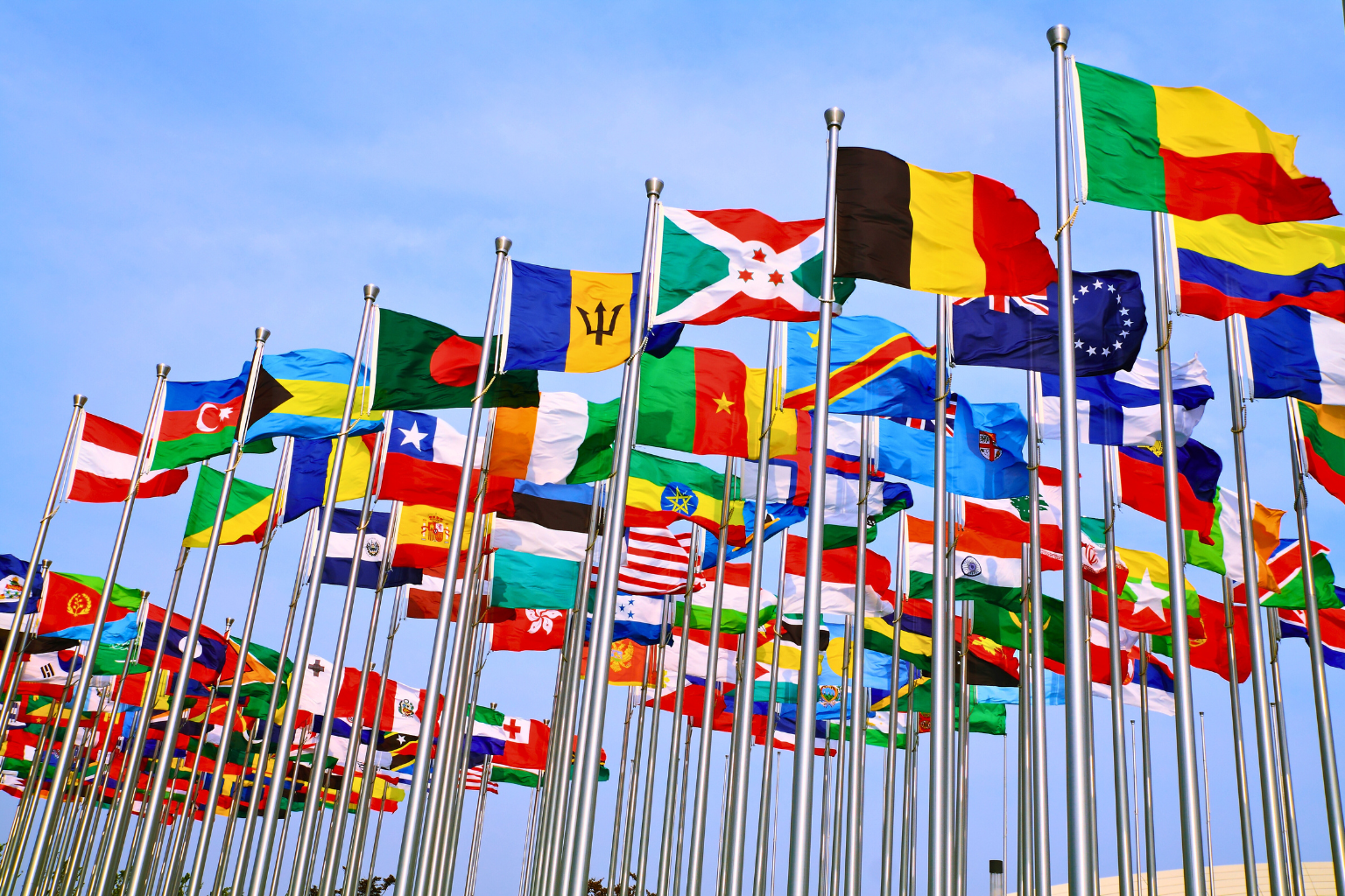 Certificados Internacionais de Saúde